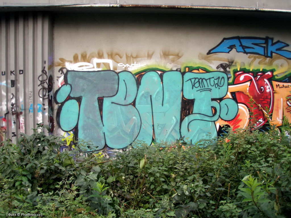 110815_Tesnov_41