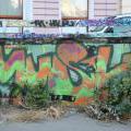 110826_Tesnov_04