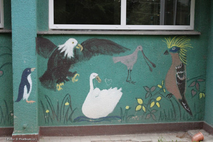 111112_Prosek_81