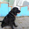 11belariegraffjam