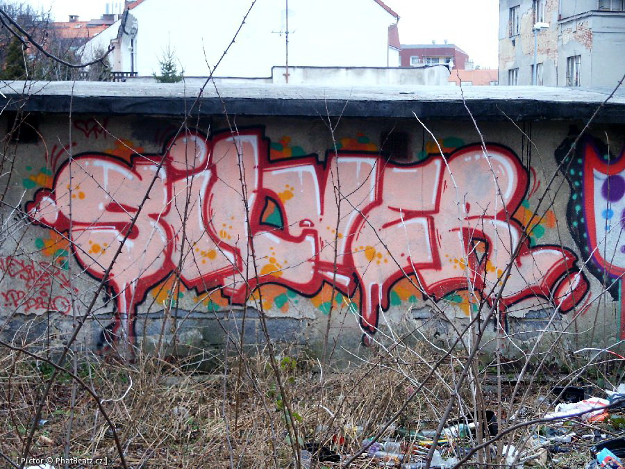 120121_Strasnice_08