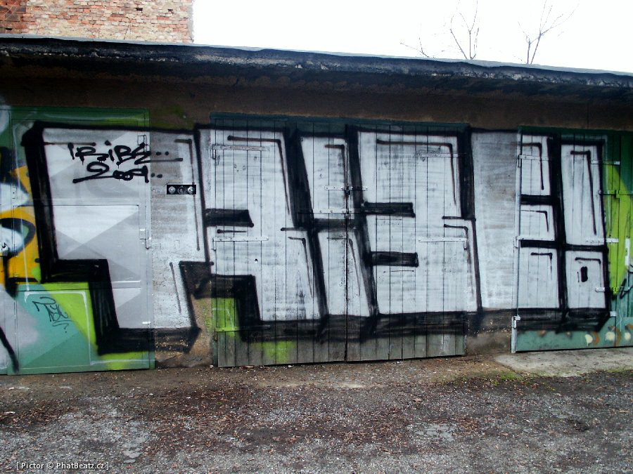 120121_Strasnice_11