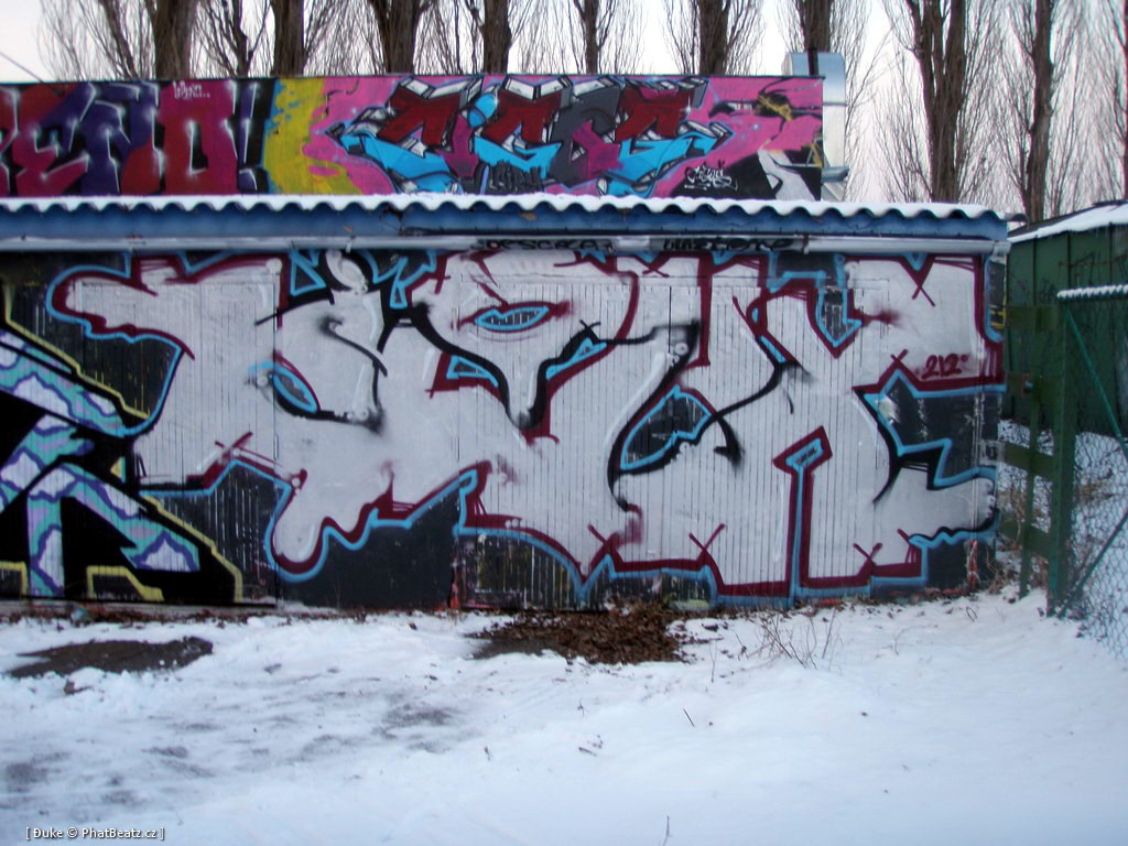 120128_Celakovice_06