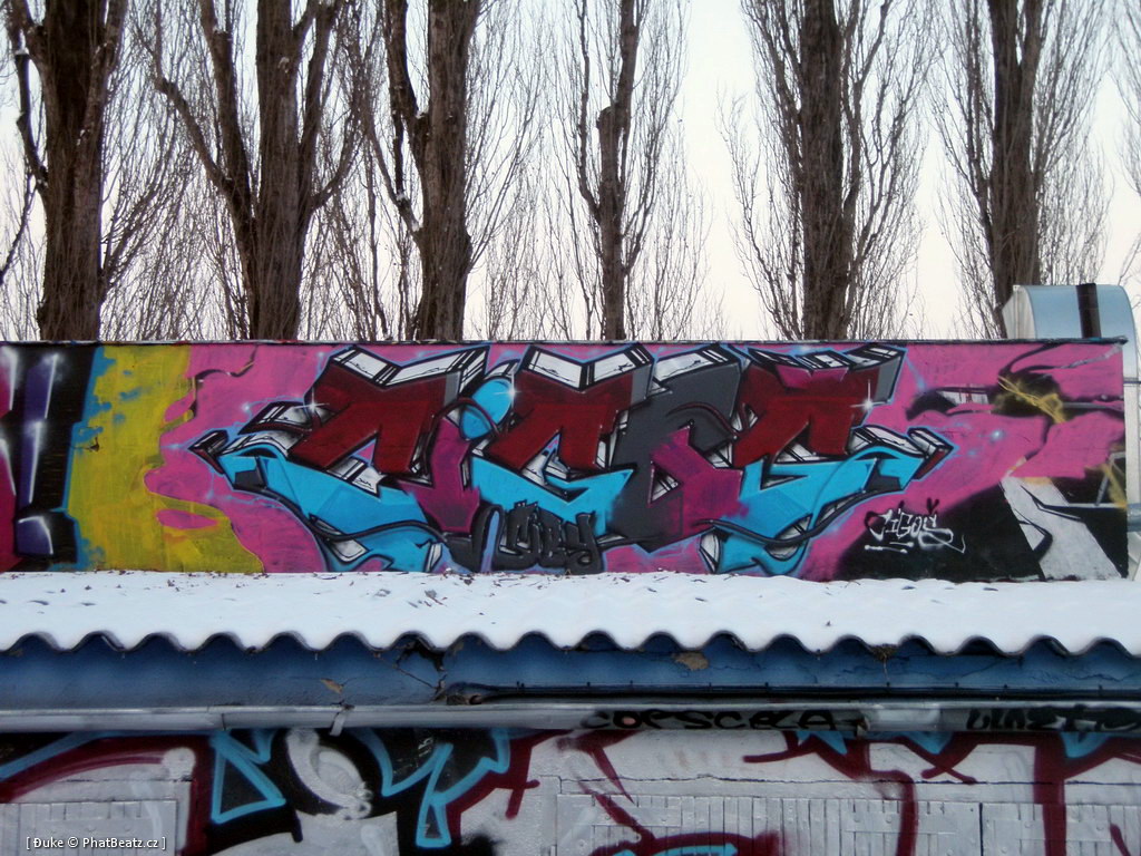 120128_Celakovice_09
