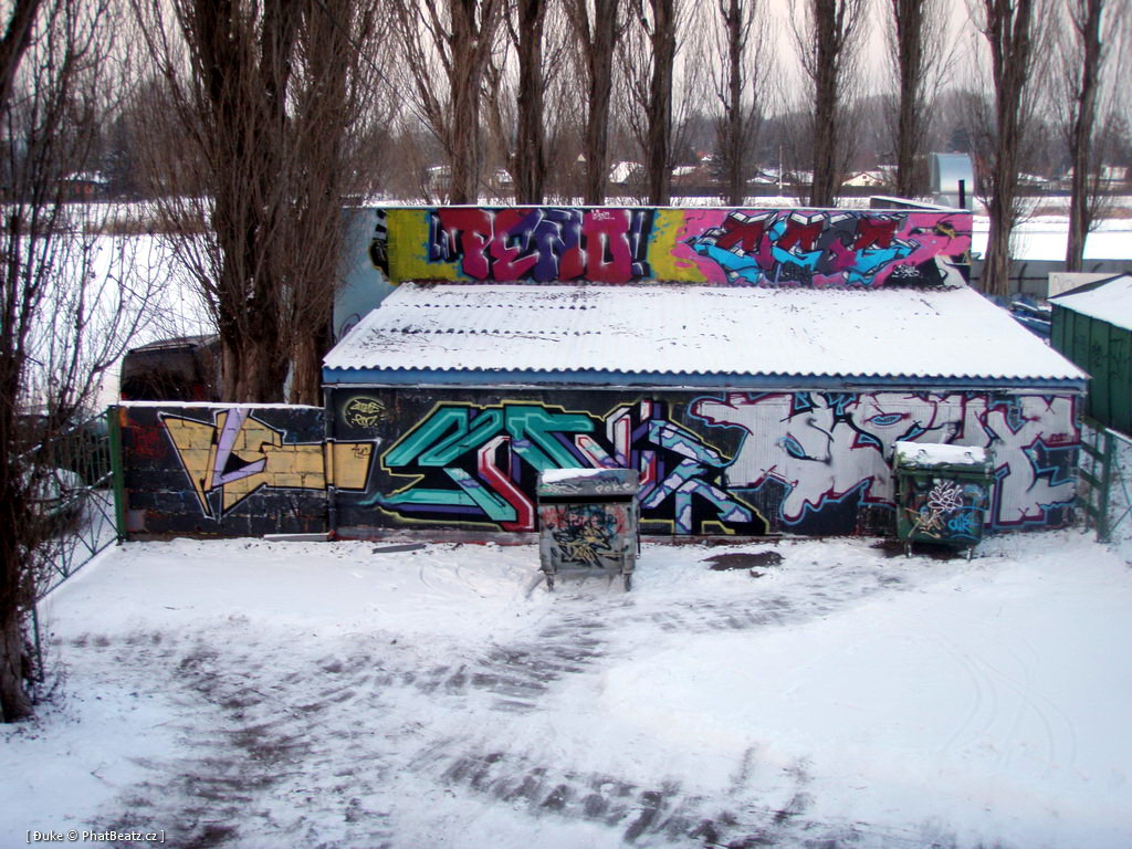 120128_Celakovice_11
