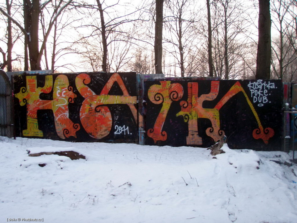 120128_Celakovice_13