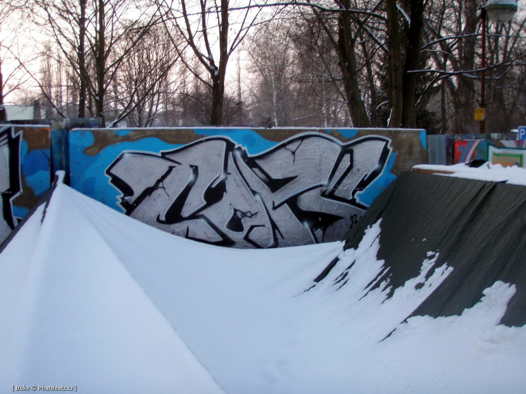 120128_Celakovice_15