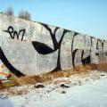 120210_Lysa_17
