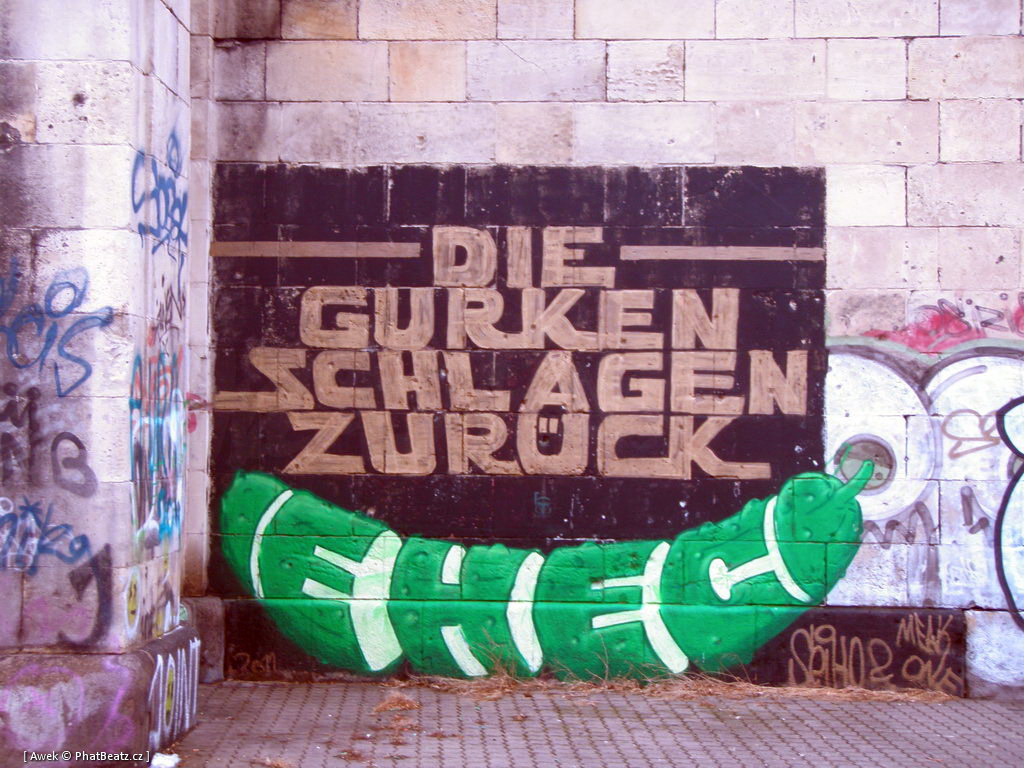 120217_Viden_10