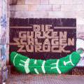 120217_Viden_10