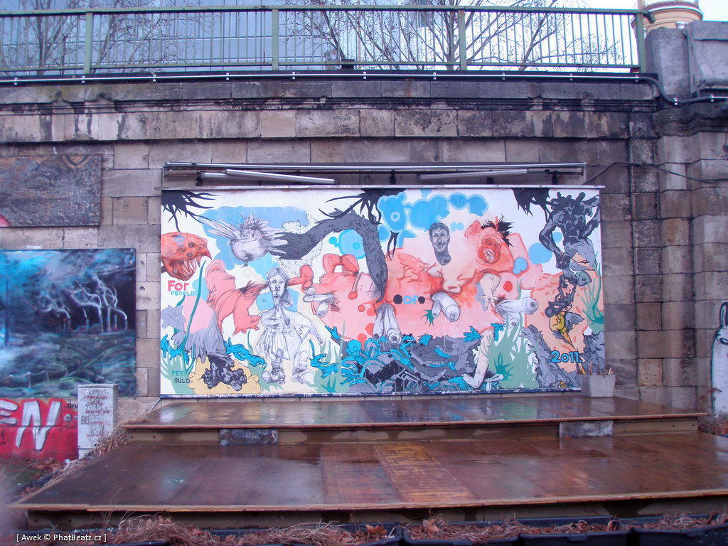 120217_Viden_13