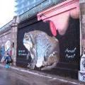 120217_Viden_16