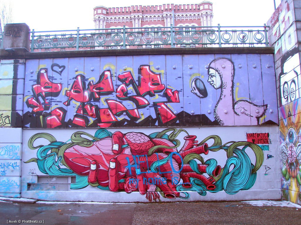 120217_Viden_21