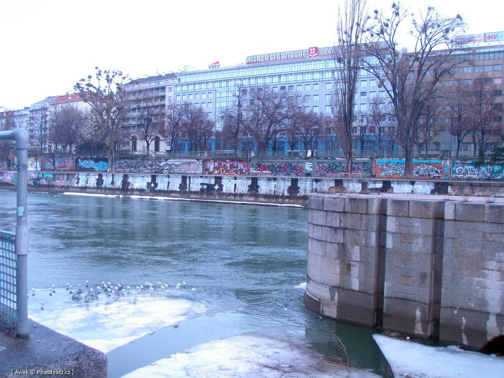 120217_Viden_24