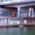 120217_Viden_31