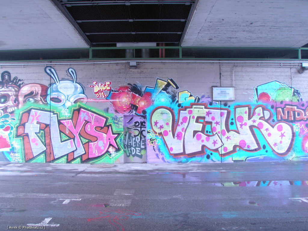 120217_Viden_32