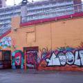 120217_Viden_33