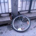 120217_Viden_37