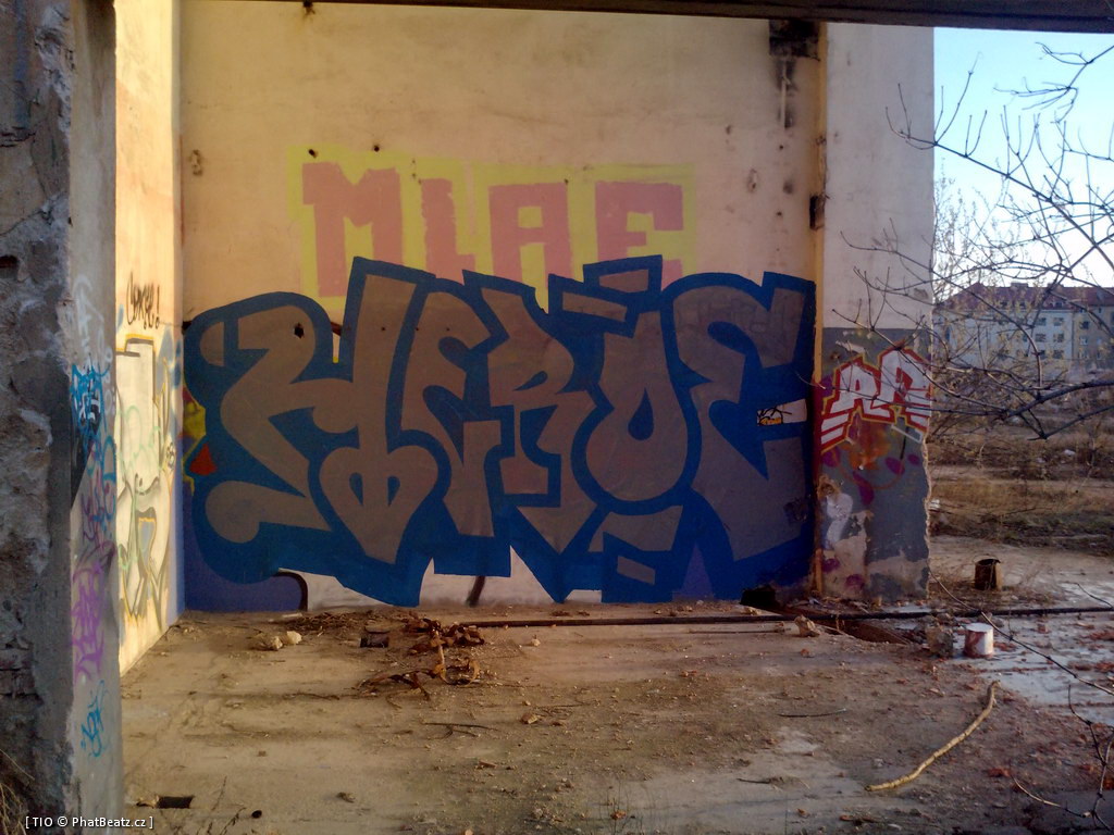 120228_CKD_012