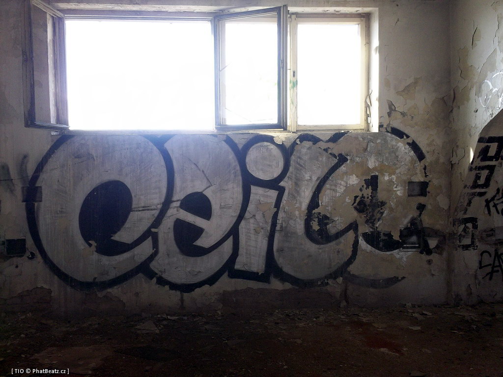 120228_CKD_022