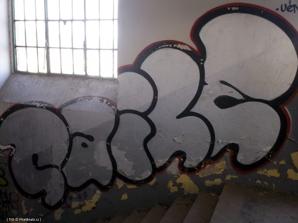 120228_CKD_046