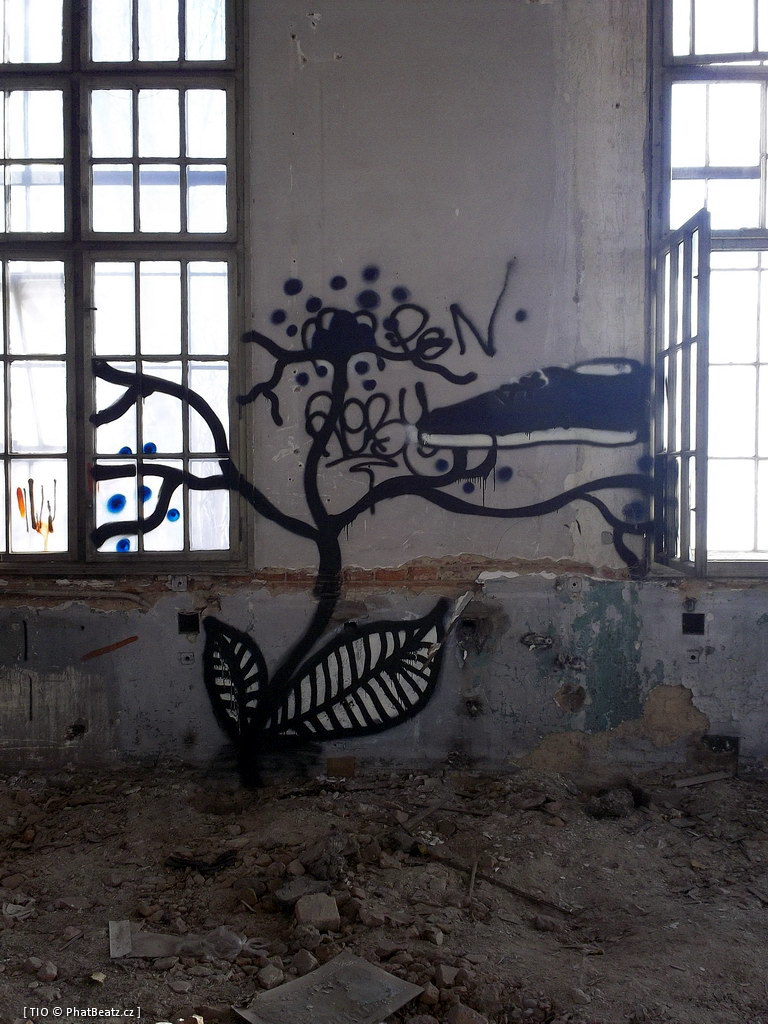 120228_CKD_110