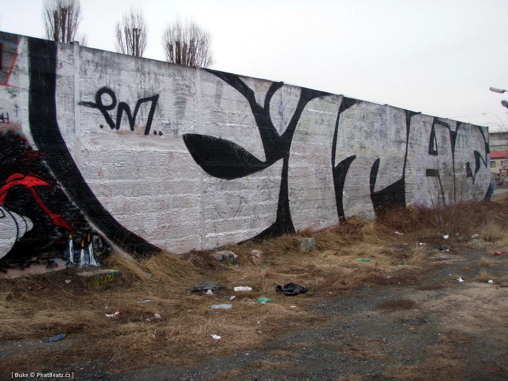 120310_Lysa_26