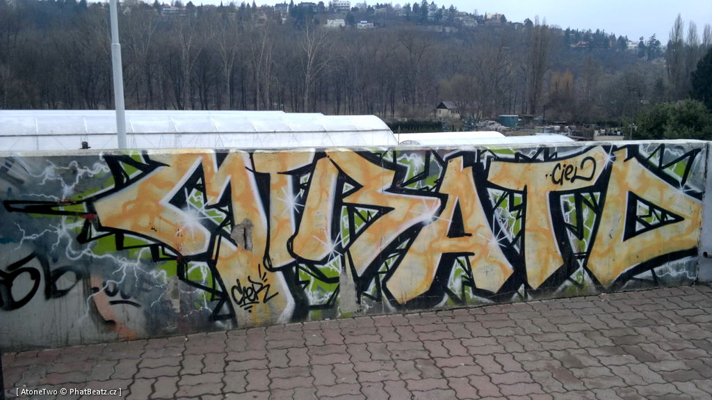 120312_Branik_01
