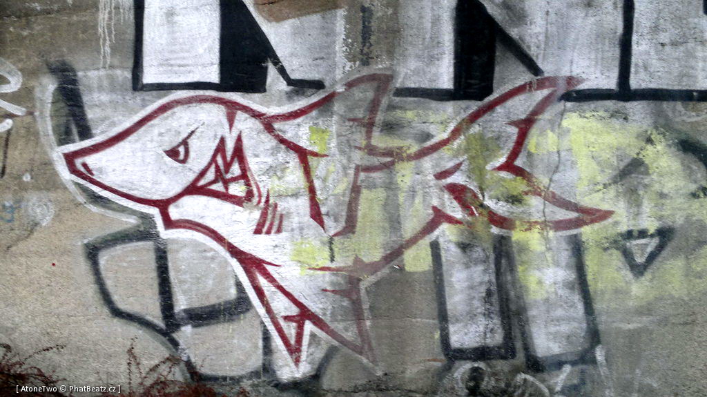 120312_Branik_35