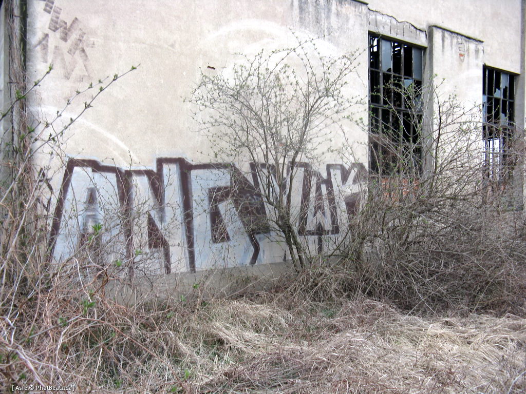 120329_Vsetaty_02