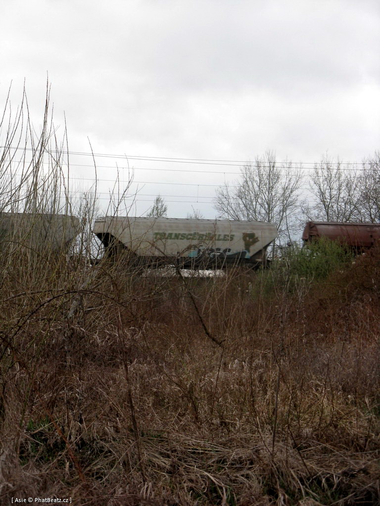120329_Vsetaty_31