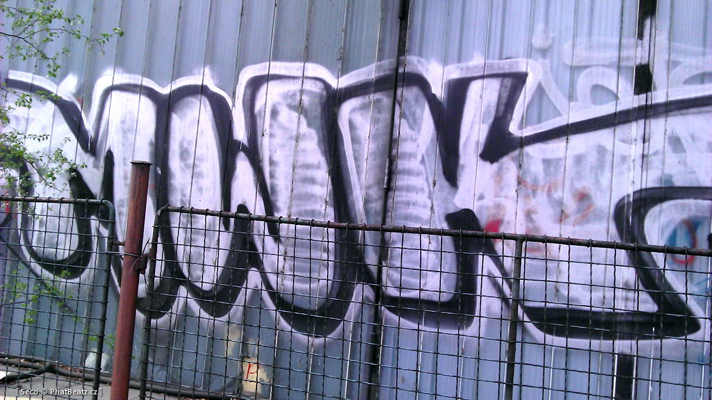 120409_Letna_53