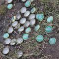 120519_MelnikJam_51