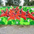 120728_Yard5_109