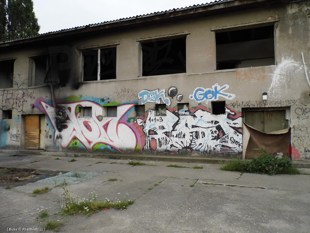 120805_Karlin_007