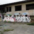 120805_Karlin_007