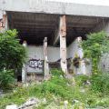 120805_Karlin_023
