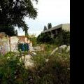 120805_Karlin_025
