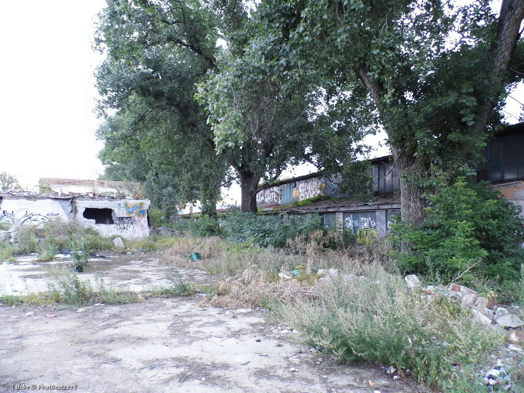 120805_Karlin_028