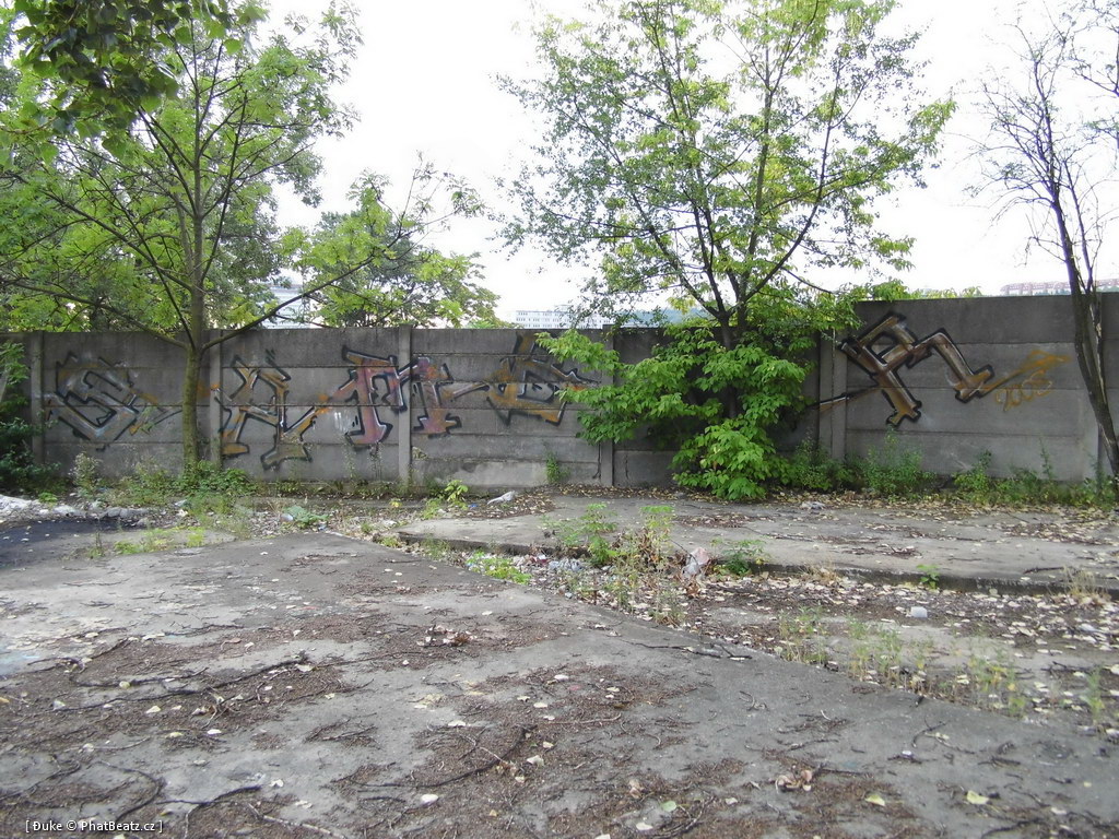 120805_Karlin_037
