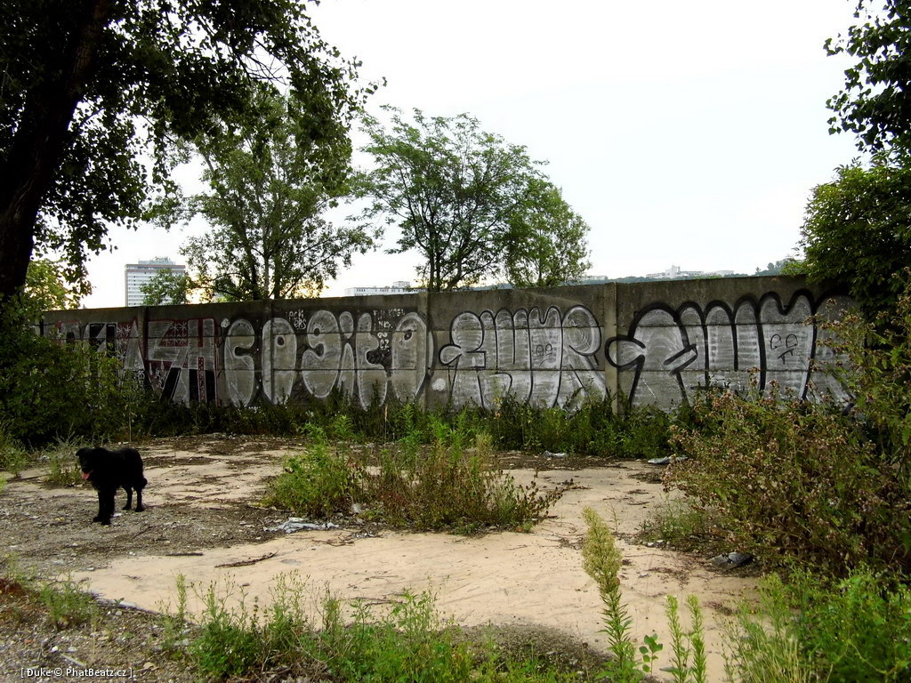 120805_Karlin_041