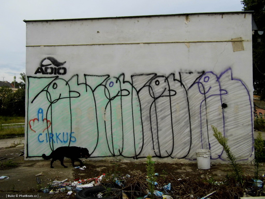 120805_Karlin_057