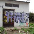 120805_Karlin_059