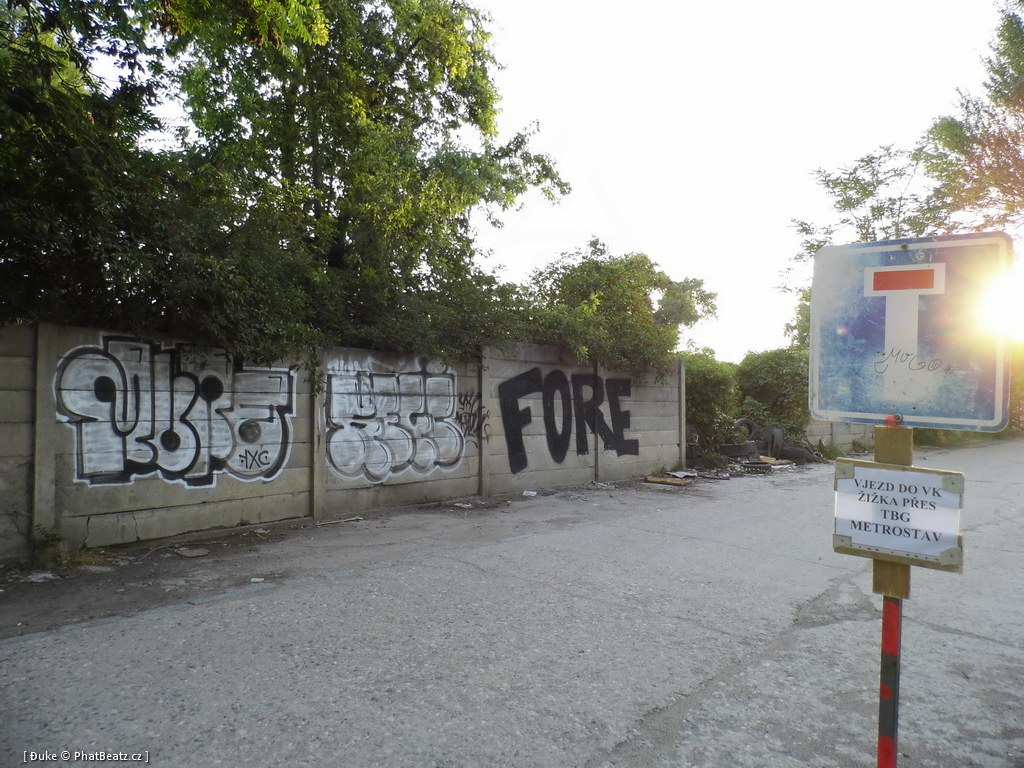 120805_Karlin_085
