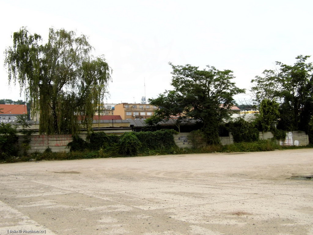 120805_Karlin_094