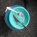 120825_Louny_26