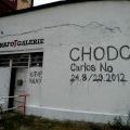120830_CarlosNo_Walkers_01