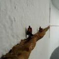 120830_CarlosNo_Walkers_10