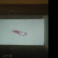 120904_MyPlace_03