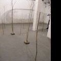 120904_MyPlace_08